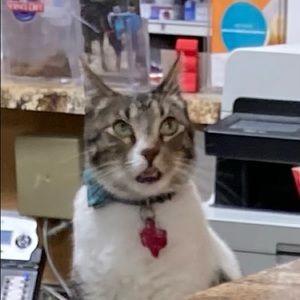 Meet your Posher, Jonathan